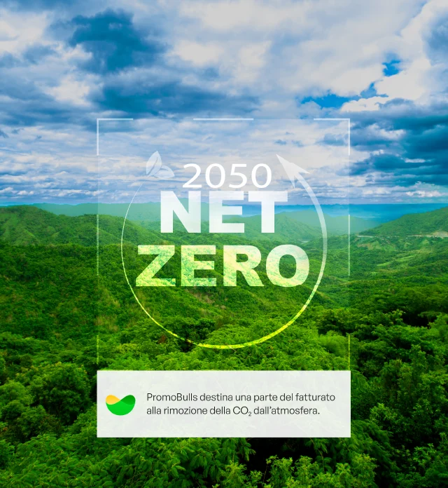 Net Zero, immagine di foreste