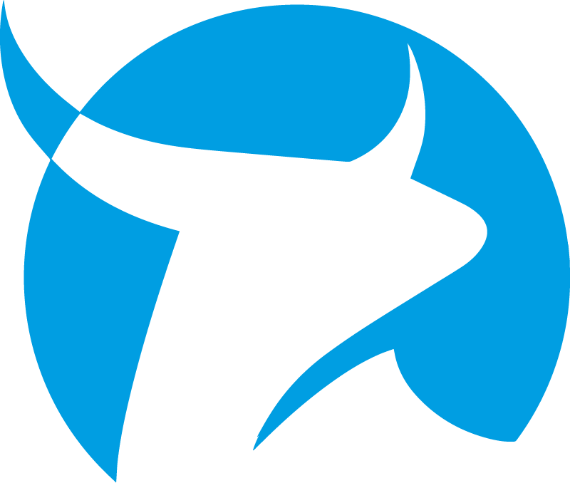 Logo Promobulls Solo